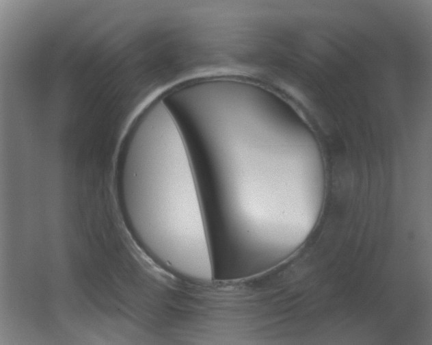X0000062891460200601131004