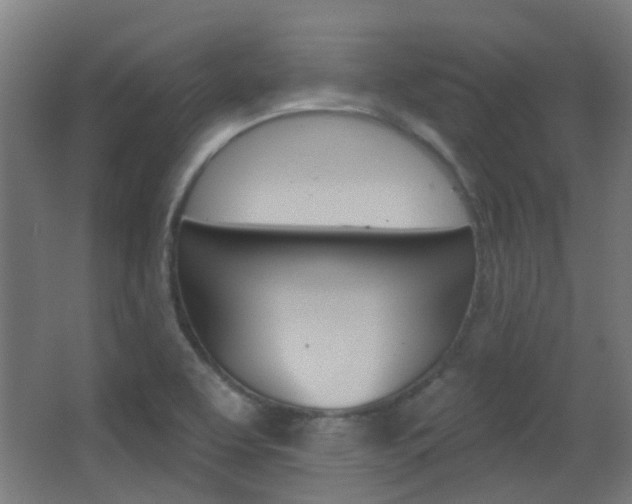 X0000062891463200601131004