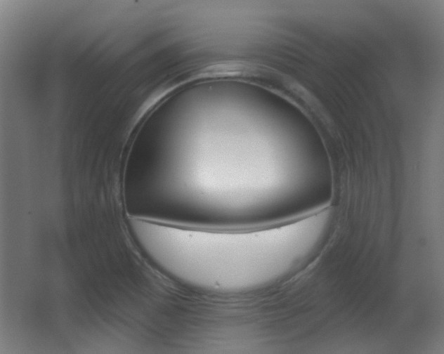 X0000062891465200601131004