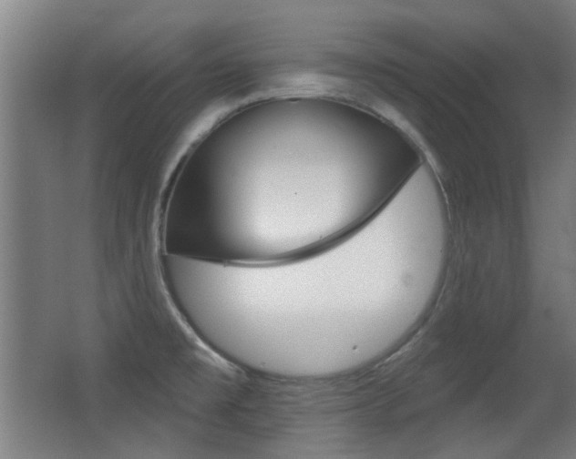 X0000062891477200601131004
