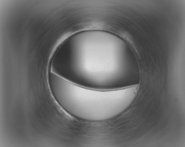 X0000062891480200601131003