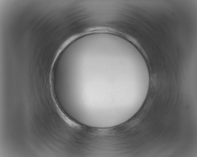 X0000062891482200601131003