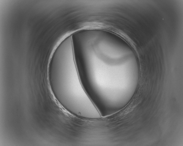 X0000062891488200601131003