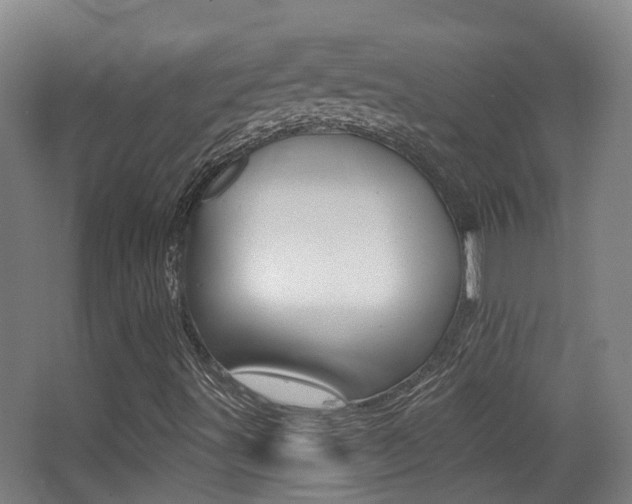 X0000062891491200601131003