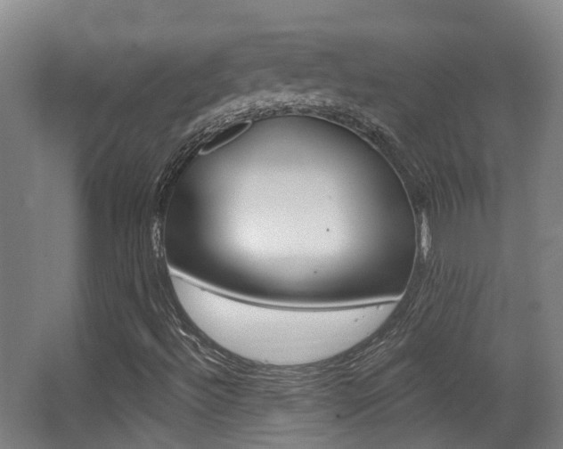 X0000062891492200601131003
