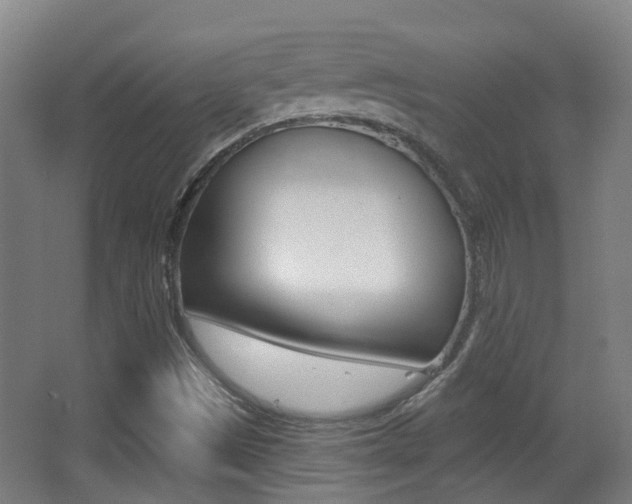 X0000062891497200601131003