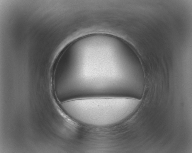 X0000062891511200601131003