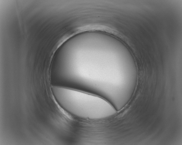 X0000062891521200601131003
