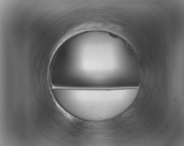 X0000062891527200601131003