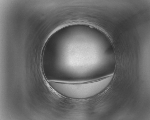 X0000062891534200601131003