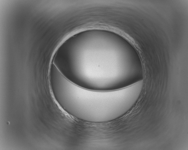 X0000062891536200601131003