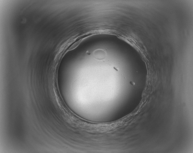 X0000062890001200601131346