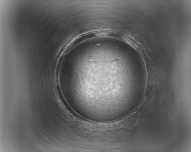 X0000062890002200601131346