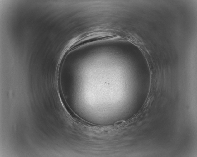 X0000062890003200601131346