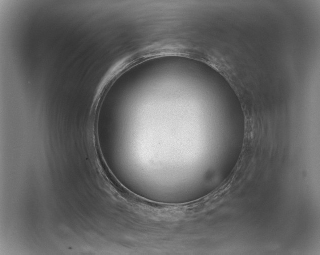 X0000062890004200601131346