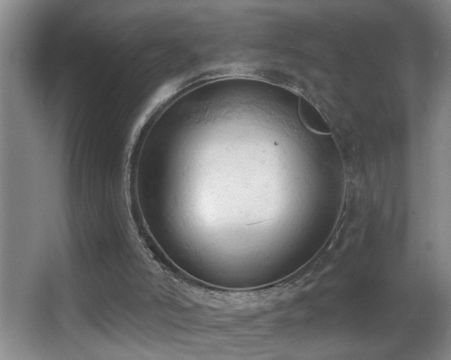 X0000062890006200601131346