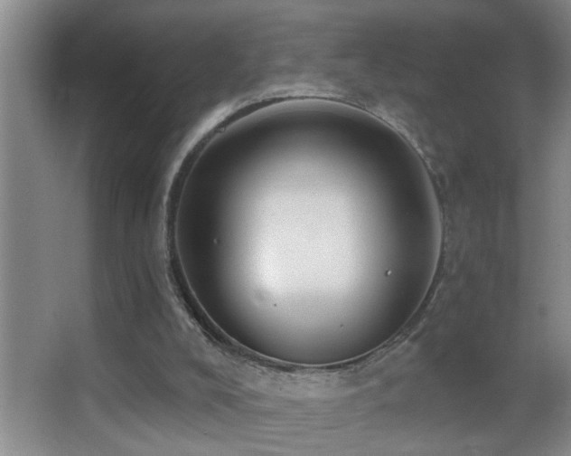 X0000062890008200601131346