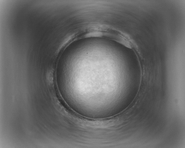 X0000062890010200601131346