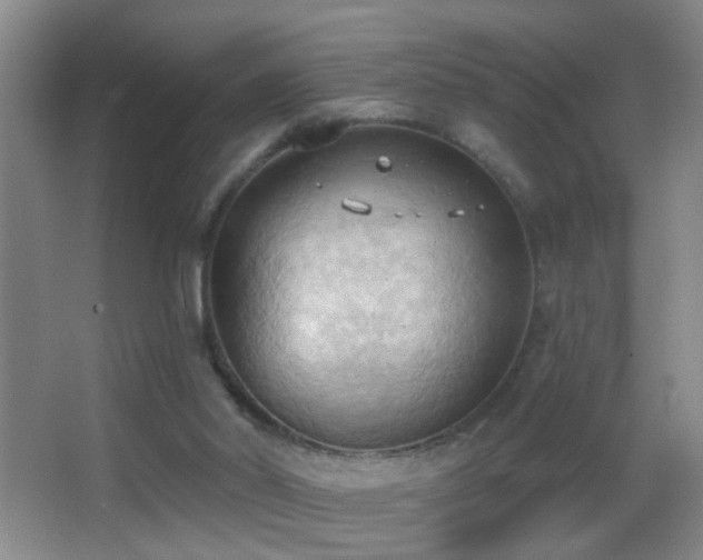 X0000062890014200601131346