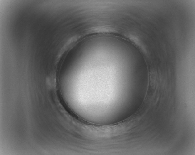 X0000062890015200601131346