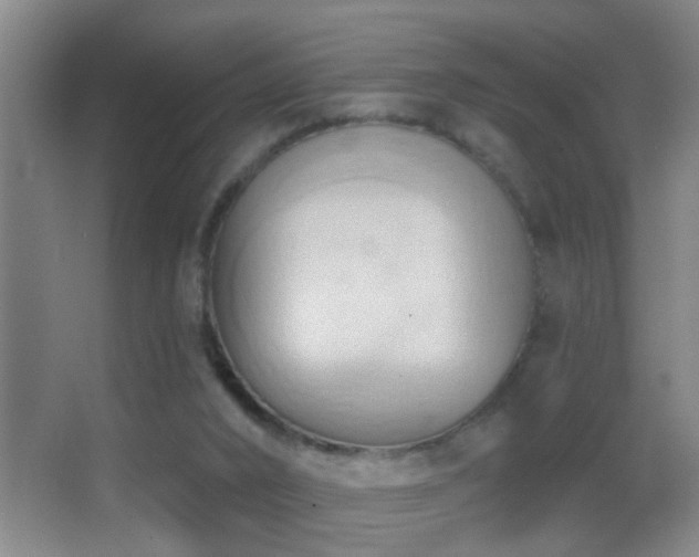 X0000062890016200601131346