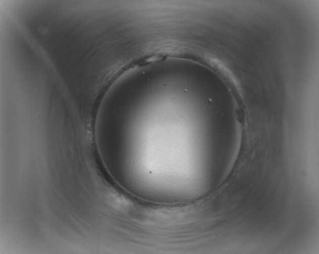 X0000062890017200601131346