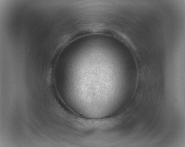 X0000062890018200601131346