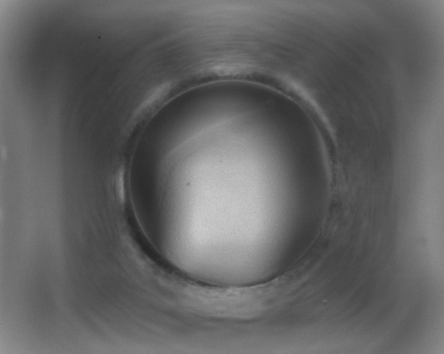 X0000062890019200601131346