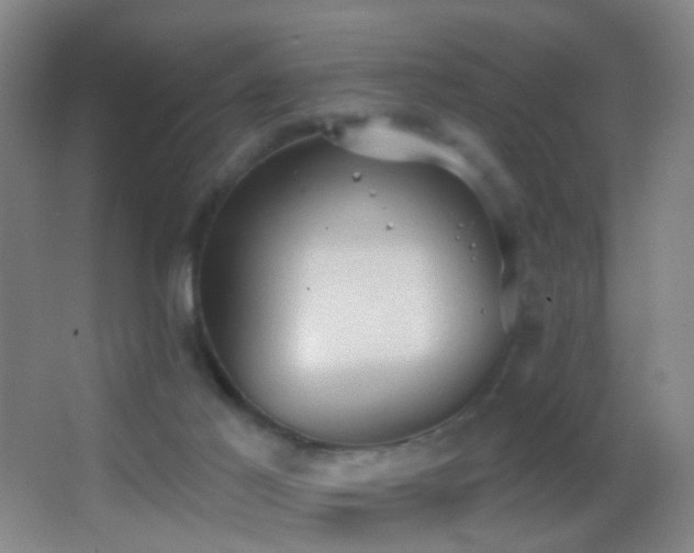 X0000062890021200601131346