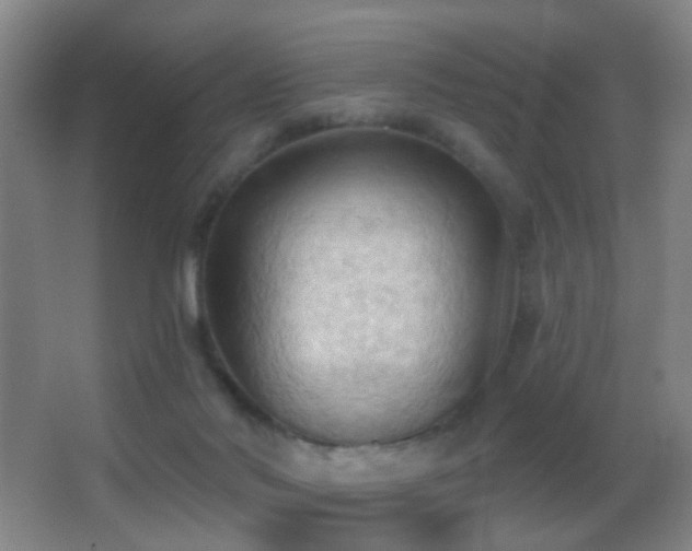 X0000062890022200601131346