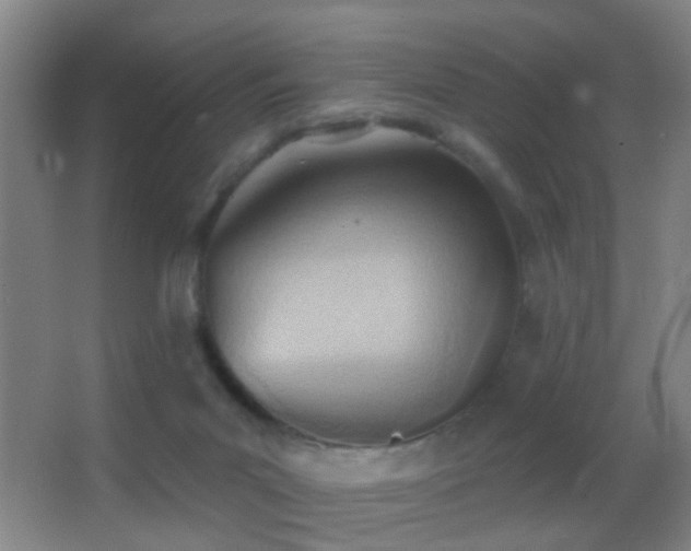 X0000062890023200601131346