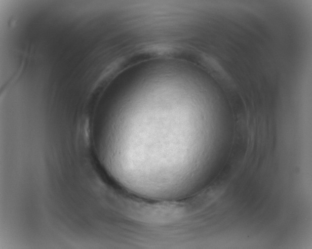 X0000062890024200601131346