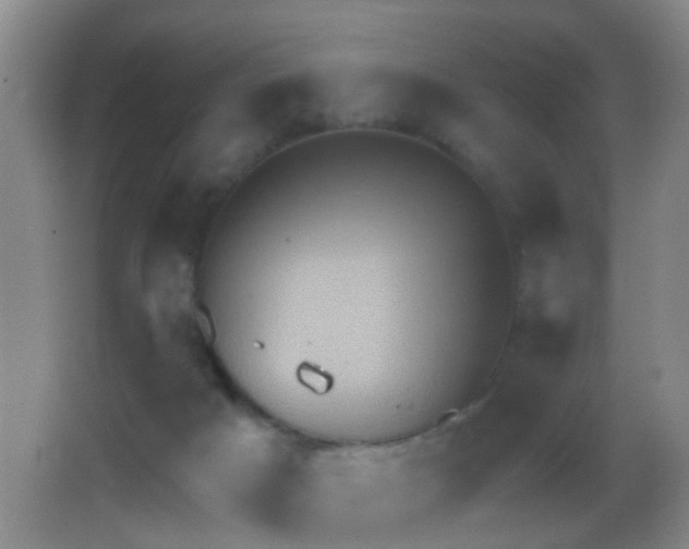 X0000062890025200601131346