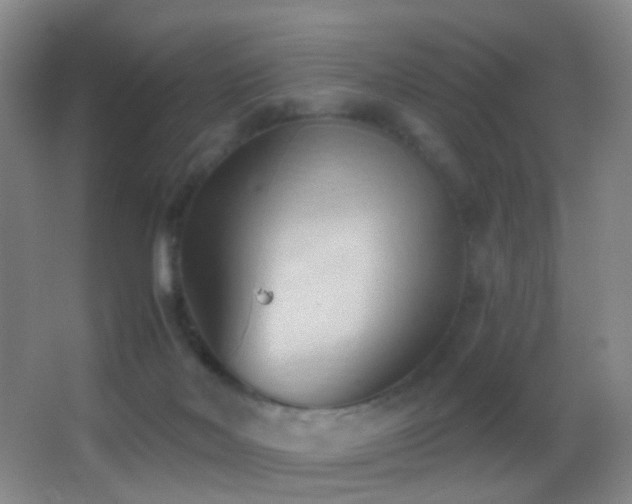 X0000062890026200601131346