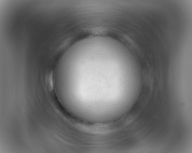 X0000062890028200601131346