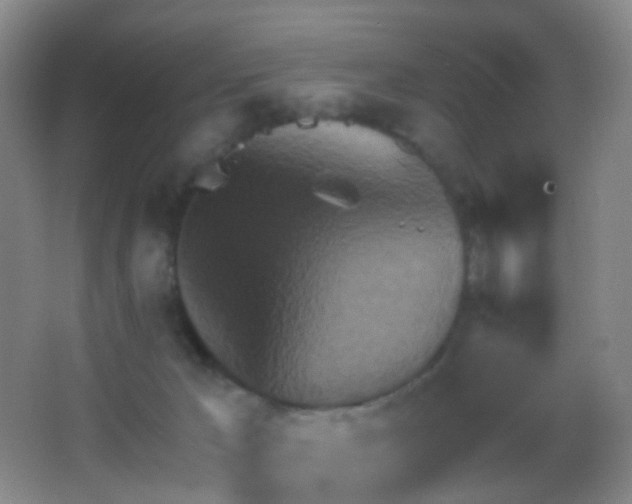 X0000062890029200601131346