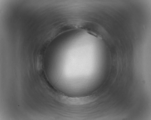 X0000062890030200601131346