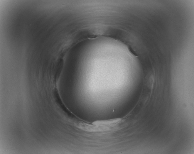 X0000062890031200601131346