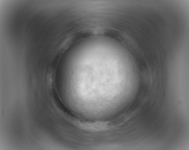 X0000062890032200601131346