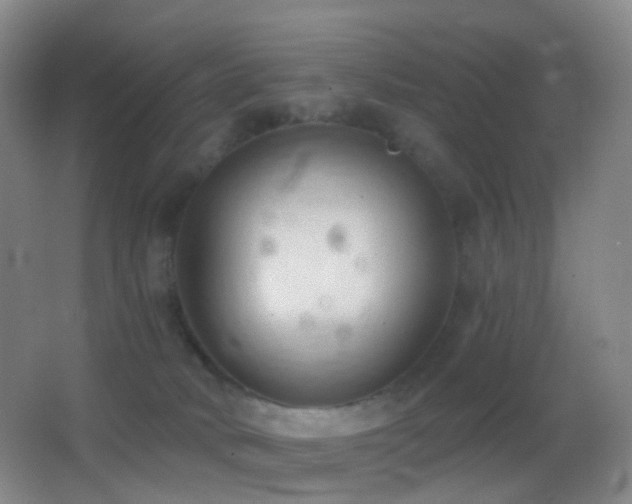 X0000062890034200601131346