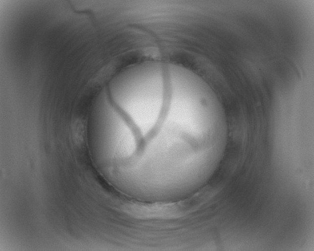 X0000062890036200601131346