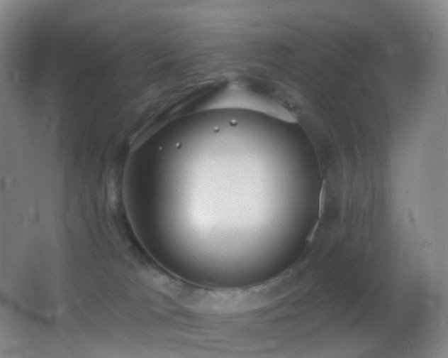 X0000062890037200601131346