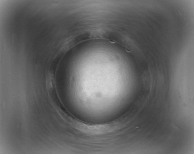 X0000062890038200601131346