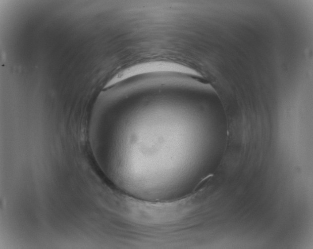 X0000062890039200601131346