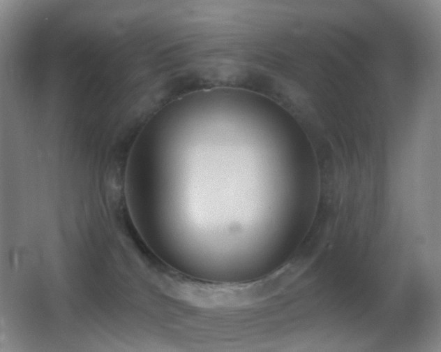 X0000062890040200601131346