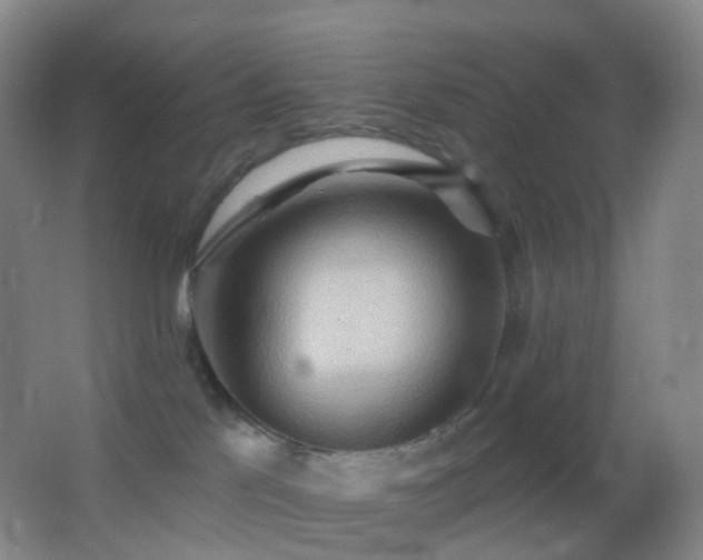 X0000062890041200601131346