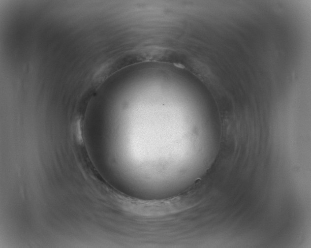 X0000062890042200601131346