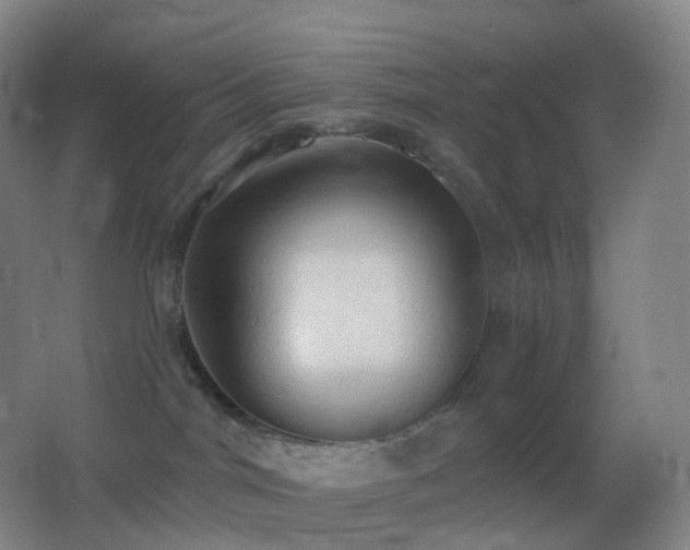 X0000062890044200601131346