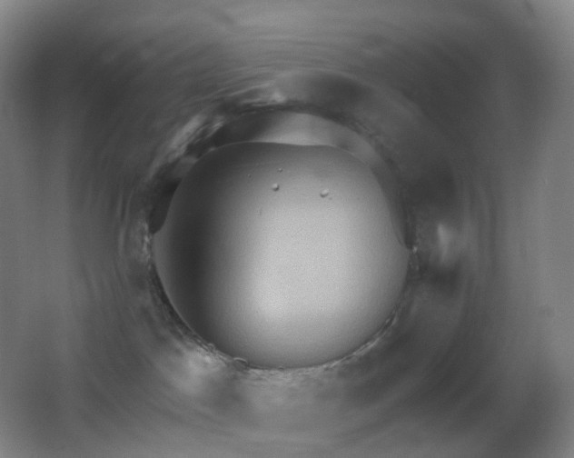 X0000062890045200601131346