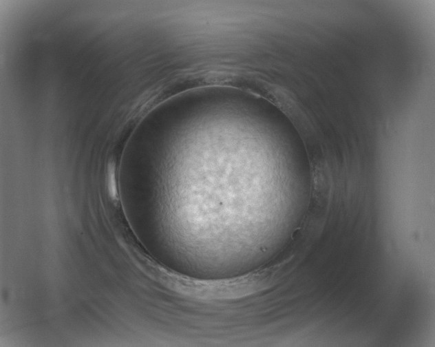 X0000062890046200601131346